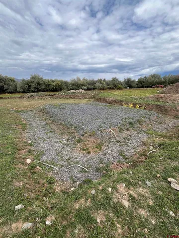 a view of a field with trees in background