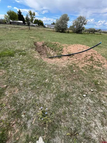 a view of a field with an trees