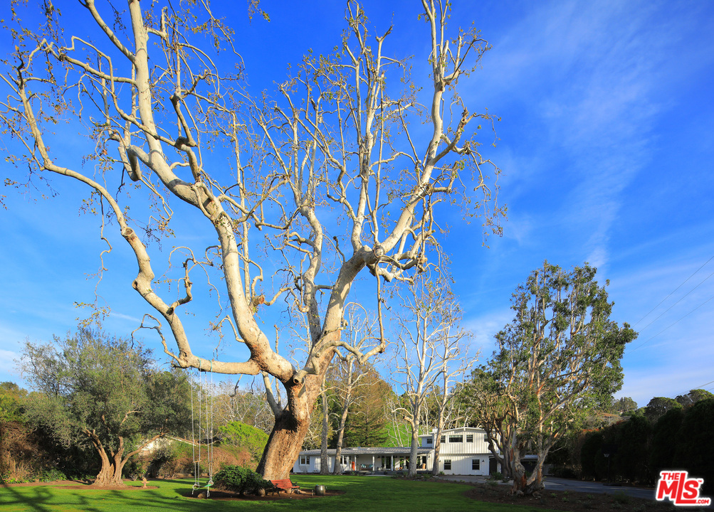 6152 Bonsall Drive Malibu, CA 90265 - Photo 26 of 26 a backyard of a building with lots of trees
