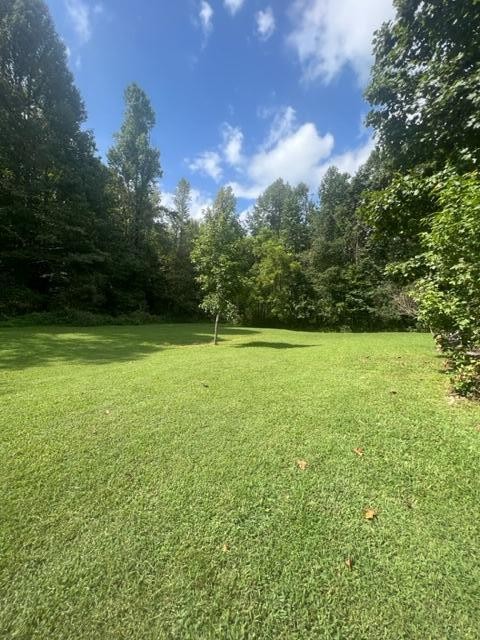 205 County Road 179 Decatur, TN 37322 - Photo 9 of 20 a view of yard with green space