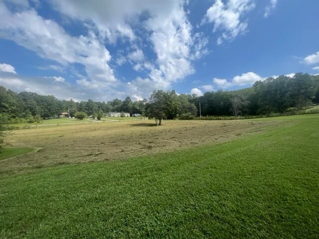 205 County Road 179 Decatur, TN 37322 - Photo 10 of 20 a view of a green field with an trees