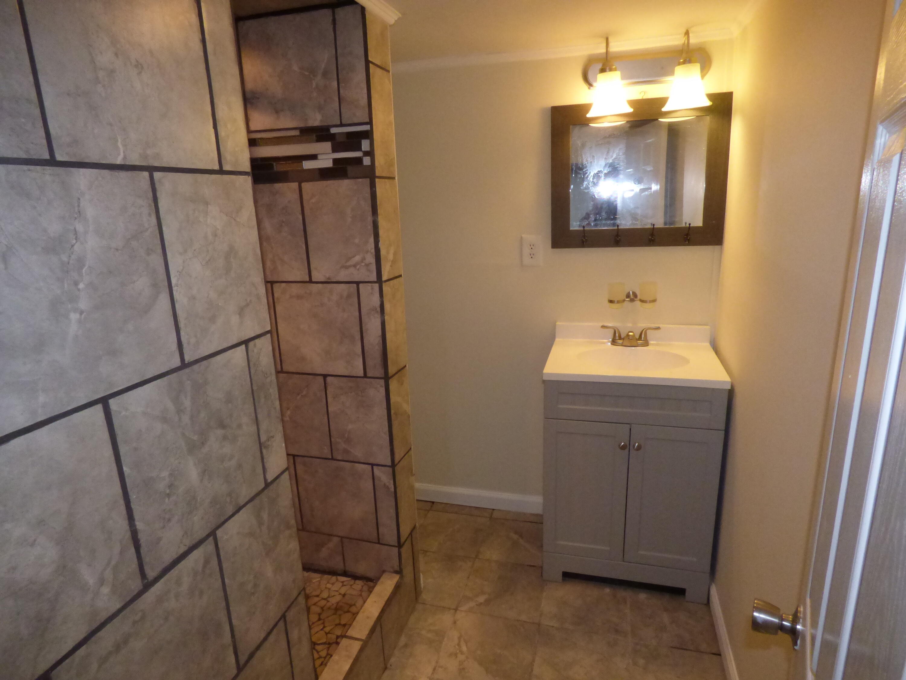 2029 Burma Road Salem, VA 24153 - Photo 14 of 14 a bathroom with a sink a mirror and shower