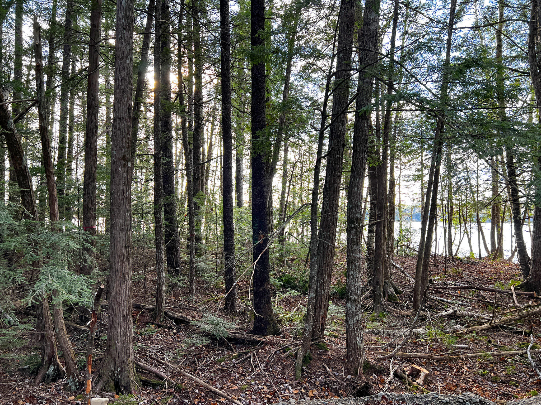 37 Woodland Ridge Road Danforth, ME 04424 - Photo 11 of 23 IMG_1924