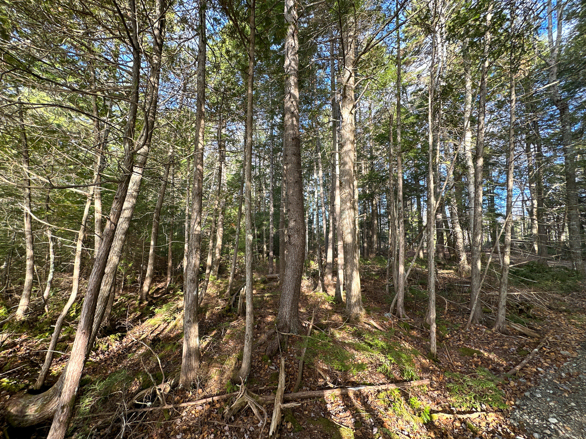 37 Woodland Ridge Road Danforth, ME 04424 - Photo 16 of 23 Photo Nov 12 2023, 1 22 47 PM