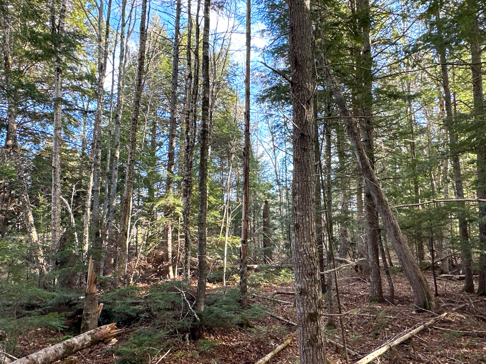 37 Woodland Ridge Road Danforth, ME 04424 - Photo 17 of 23 Photo Nov 12 2023, 1 25 48 PM