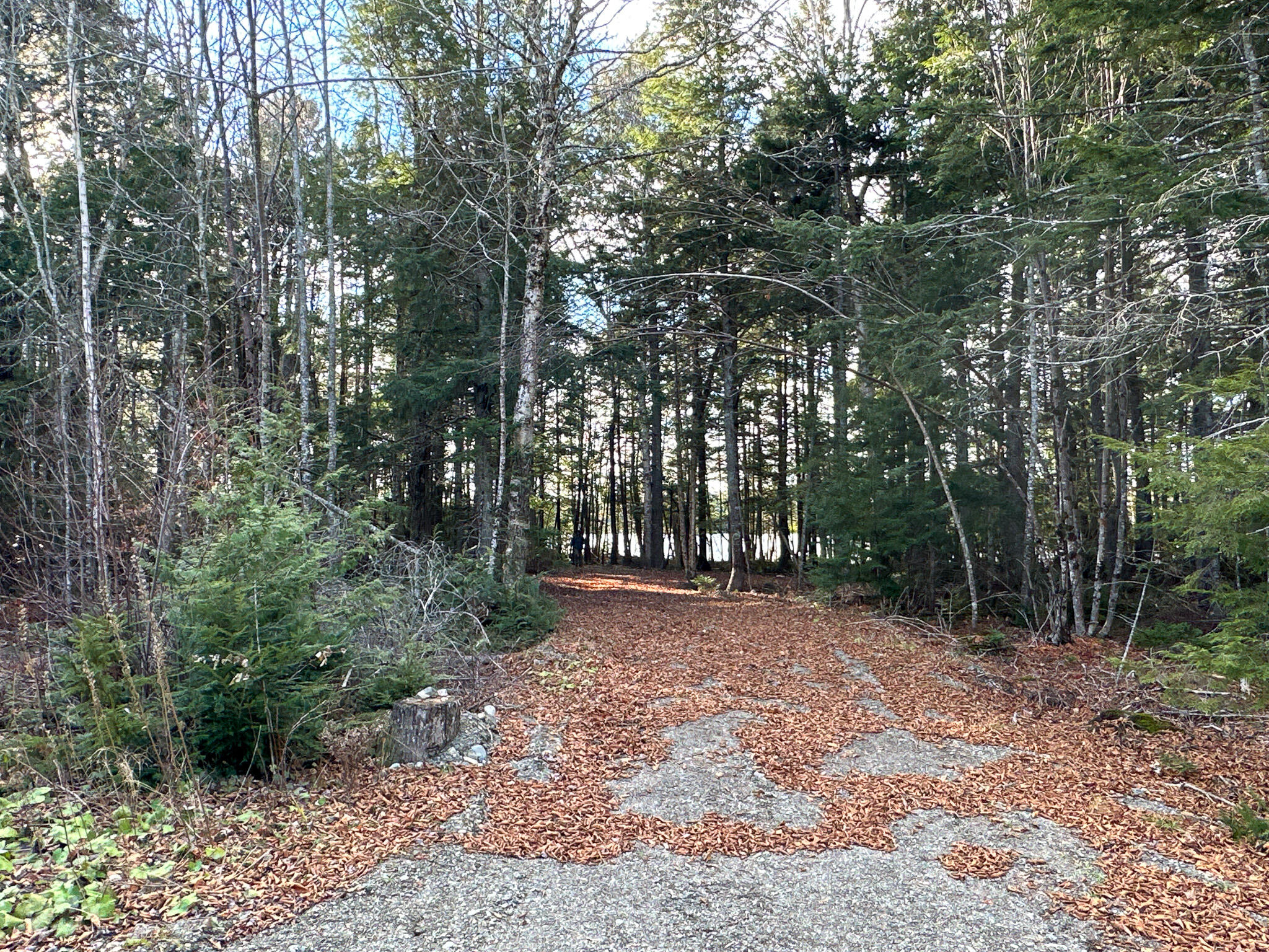 37 Woodland Ridge Road Danforth, ME 04424 - Photo 18 of 23 Photo Nov 12 2023, 1 26 35 PM