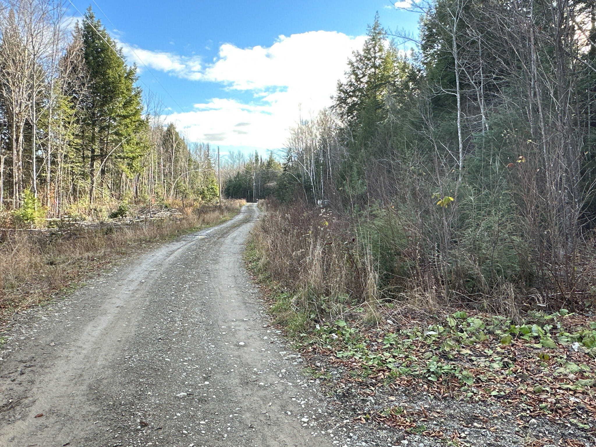 37 Woodland Ridge Road Danforth, ME 04424 - Photo 19 of 23 Photo Nov 12 2023, 1 26 47 PM