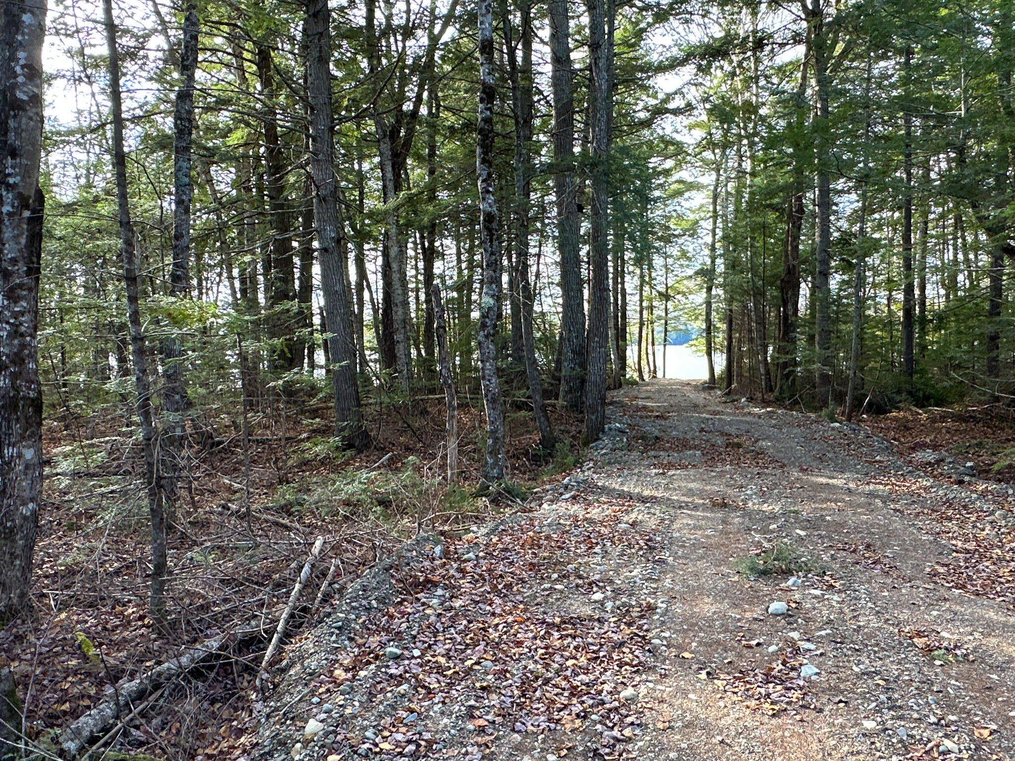 37 Woodland Ridge Road Danforth, ME 04424 - Photo 20 of 23 Photo Nov 12 2023, 12 55 46 PM