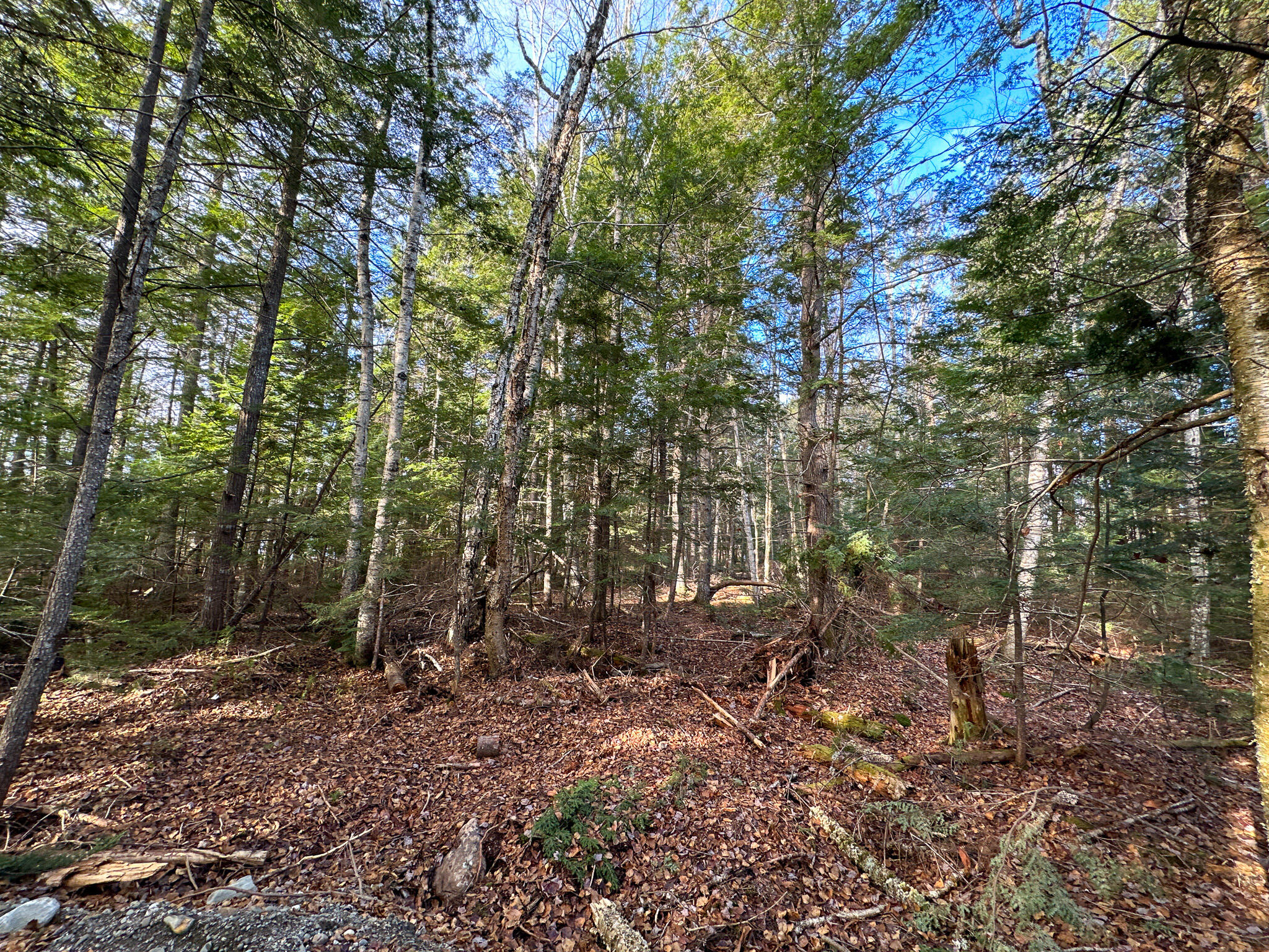 37 Woodland Ridge Road Danforth, ME 04424 - Photo 21 of 23 Photo Nov 12 2023, 12 56 05 PM