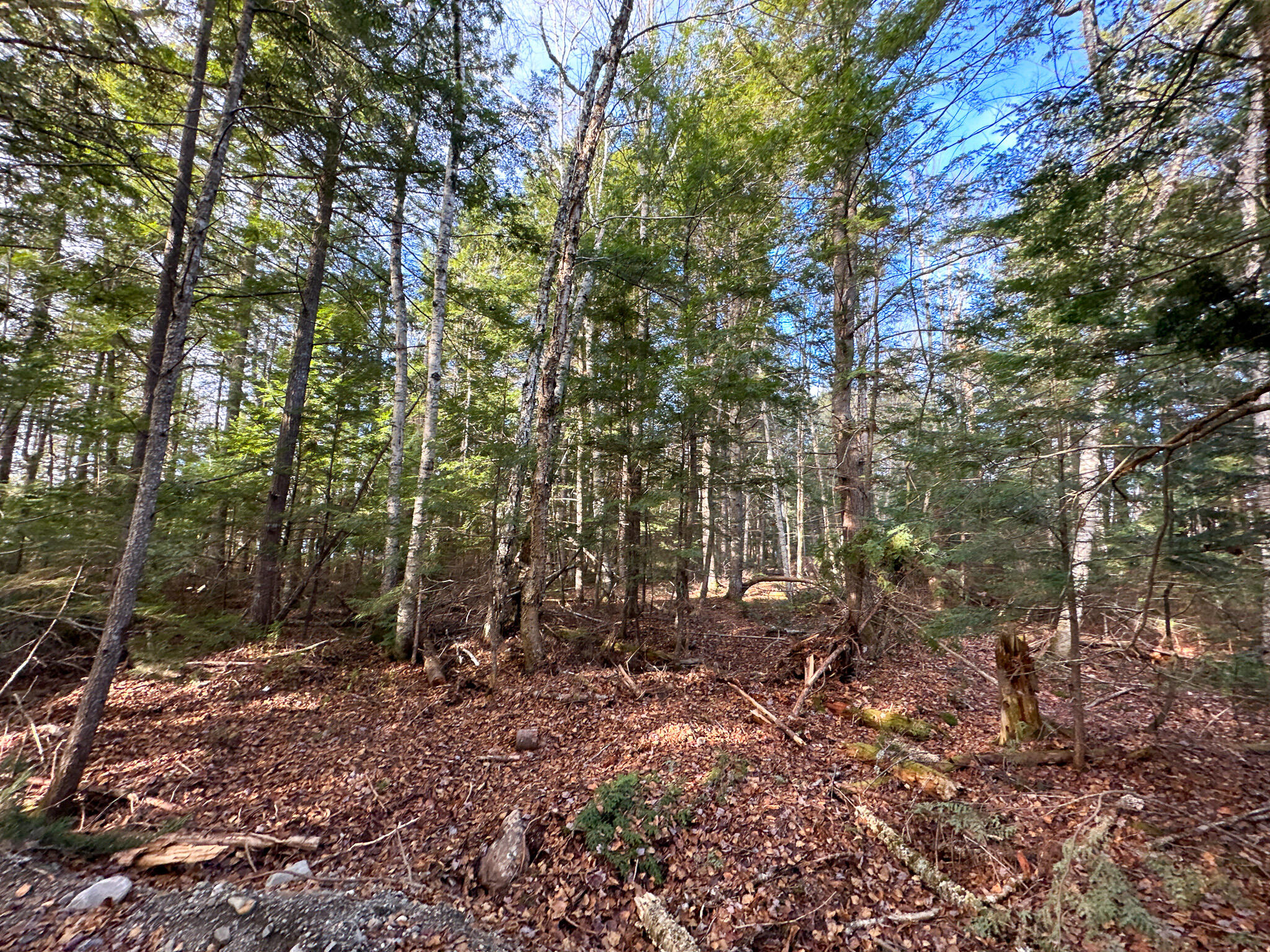 37 Woodland Ridge Road Danforth, ME 04424 - Photo 22 of 23 Photo Nov 12 2023, 12 56 06 PM