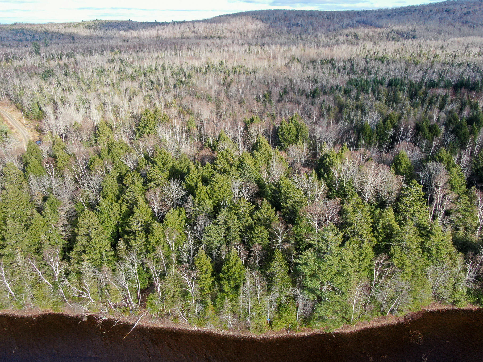 37 Woodland Ridge Road Danforth, ME 04424 - Photo 3 of 23 DJI_0614