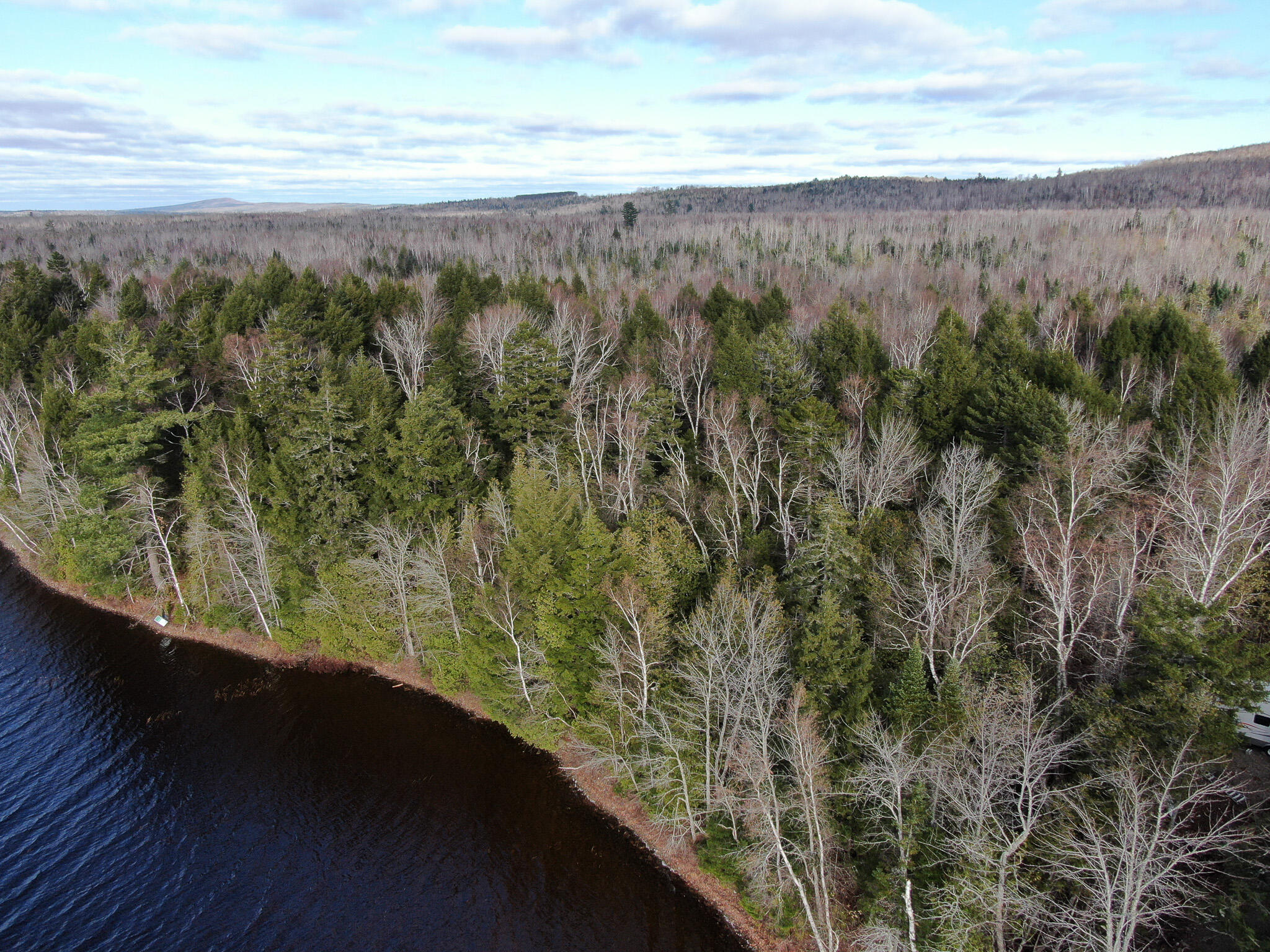 37 Woodland Ridge Road Danforth, ME 04424 - Photo 4 of 23 DJI_0616