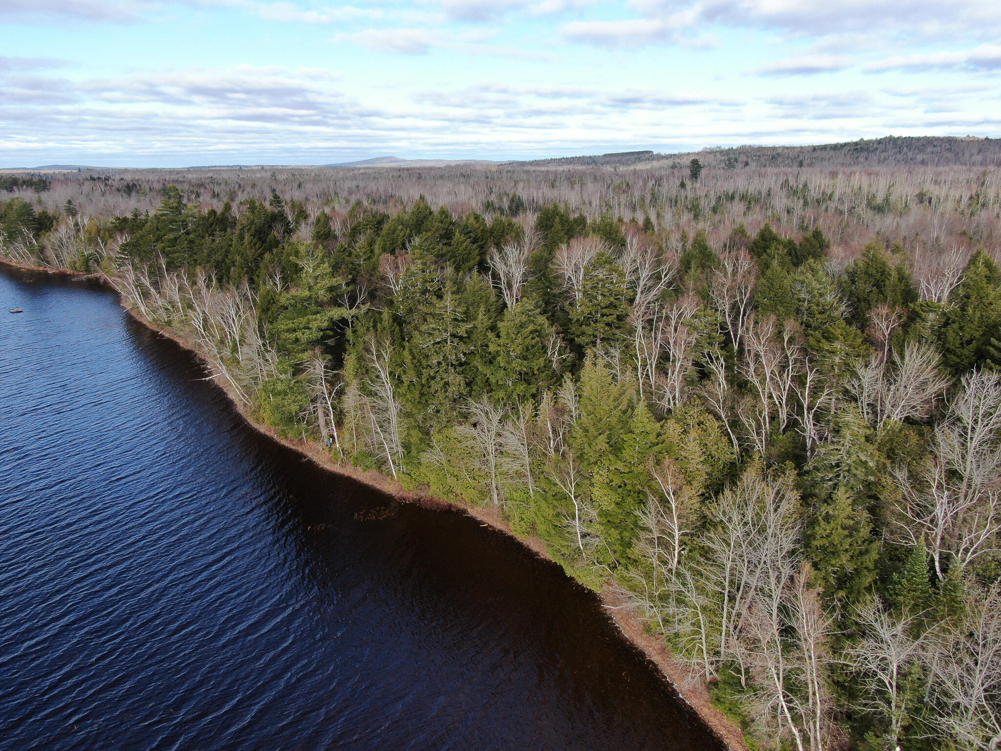 37 Woodland Ridge Road Danforth, ME 04424 - Photo 5 of 23 DJI_0617