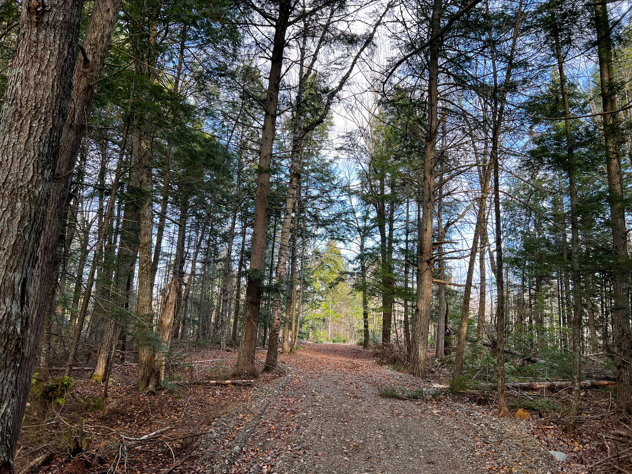 37 Woodland Ridge Road Danforth, ME 04424 - Photo 8 of 23 IMG_1921