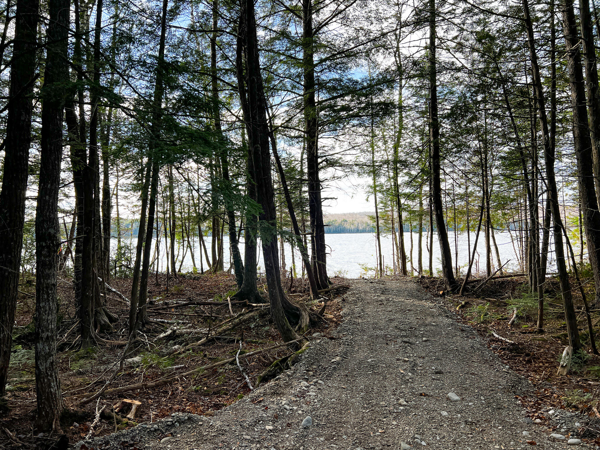 37 Woodland Ridge Road Danforth, ME 04424 - Photo 10 of 23 IMG_1923