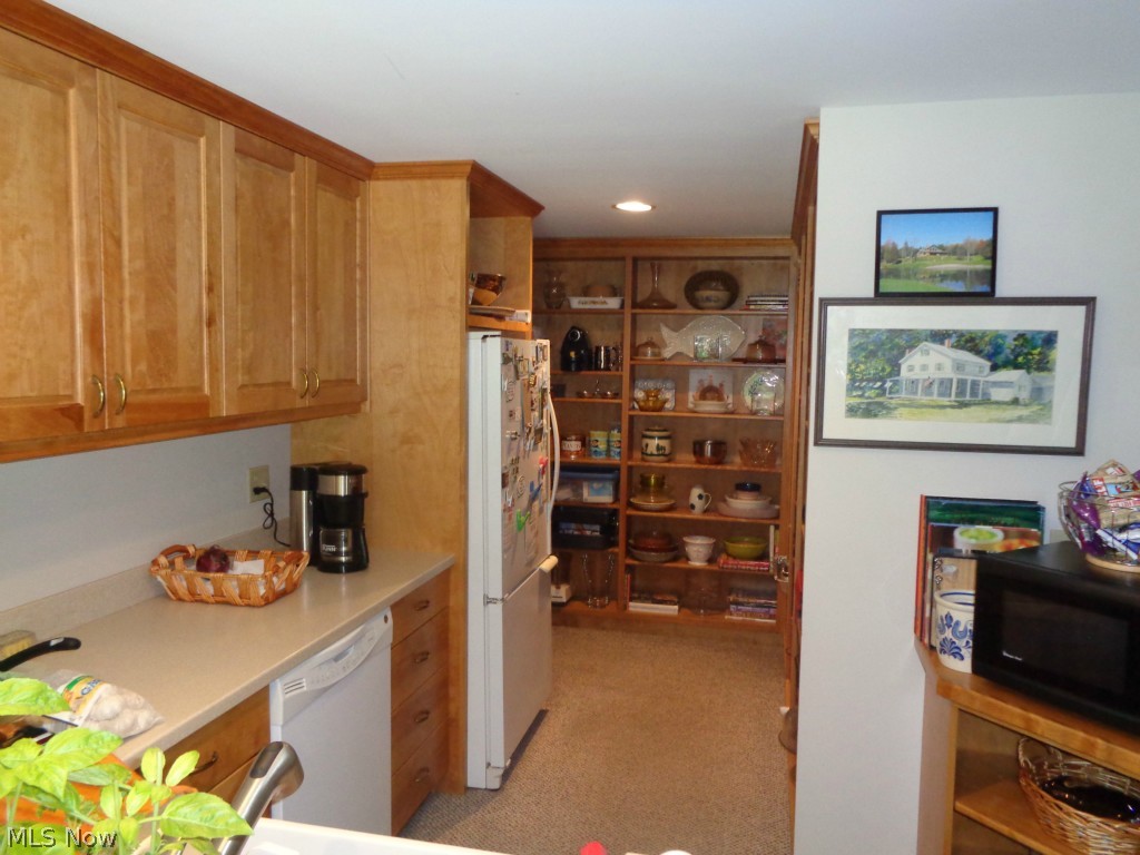 9273 Sperry Road Mentor, OH 44060 - Photo 6 of 19 Butlers Pantry