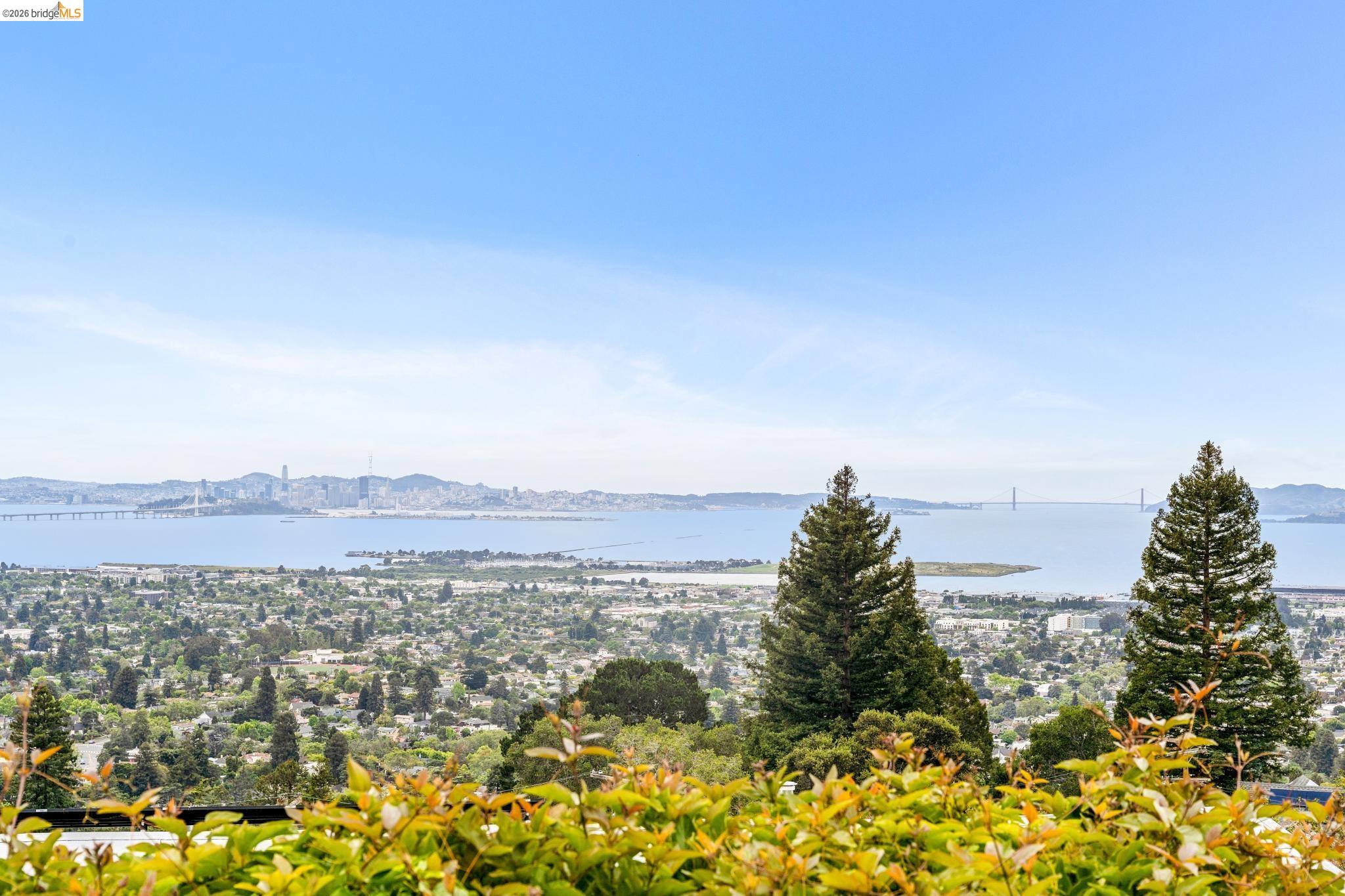 784 Cragmont Avenue Berkeley, CA 94708 - Photo 38 of 64 Expansive scenery featuring a distant urban skyline, a body of water, and a prominent bridge