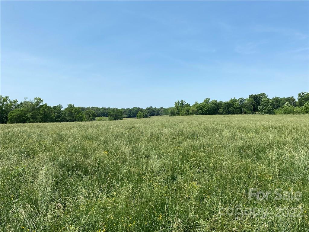 0 Stokes Road Denton, NC 27239 - Photo 12 of 29 Gallery Image 12