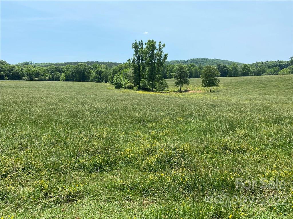 0 Stokes Road Denton, NC 27239 - Photo 7 of 29 Gallery Image 7