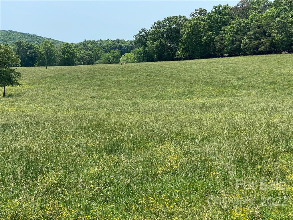 0 Stokes Road Denton, NC 27239 - Photo 8 of 29 Gallery Image 8