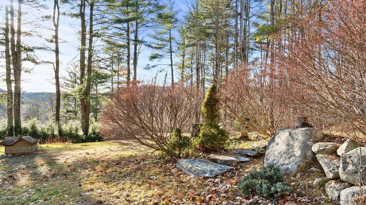 10 South Beech Plain Road Sandisfield, MA 01255 - Photo 40 of 48 a view of a yard with plants and trees