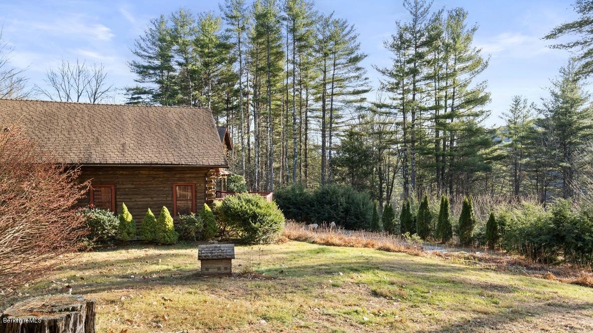 10 South Beech Plain Road Sandisfield, MA 01255 - Photo 47 of 48 a street view with tall trees