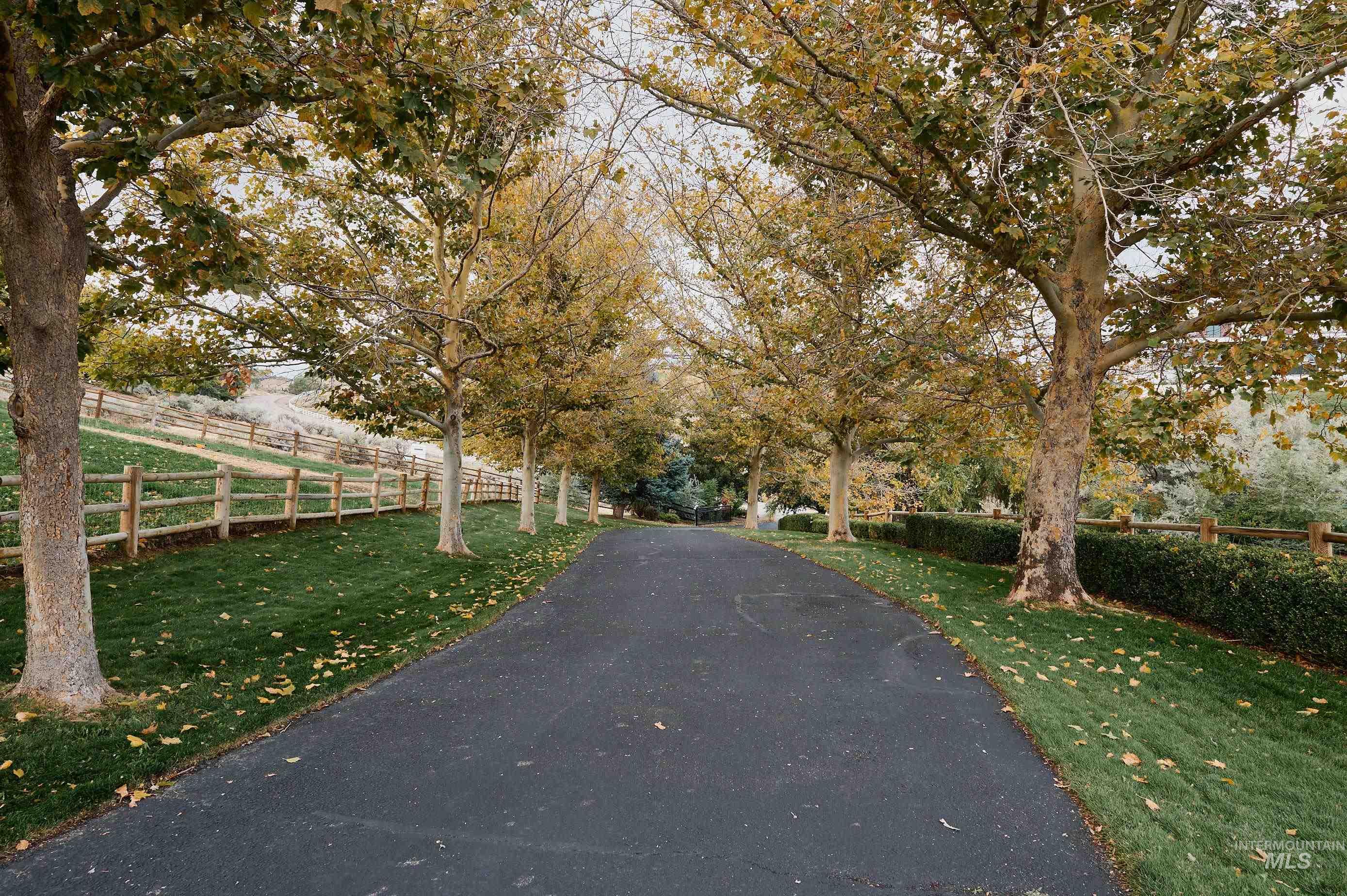 3931 North Triple Ridge Place Eagle, ID 83616 - Photo 37 of 45 View of asphalt road