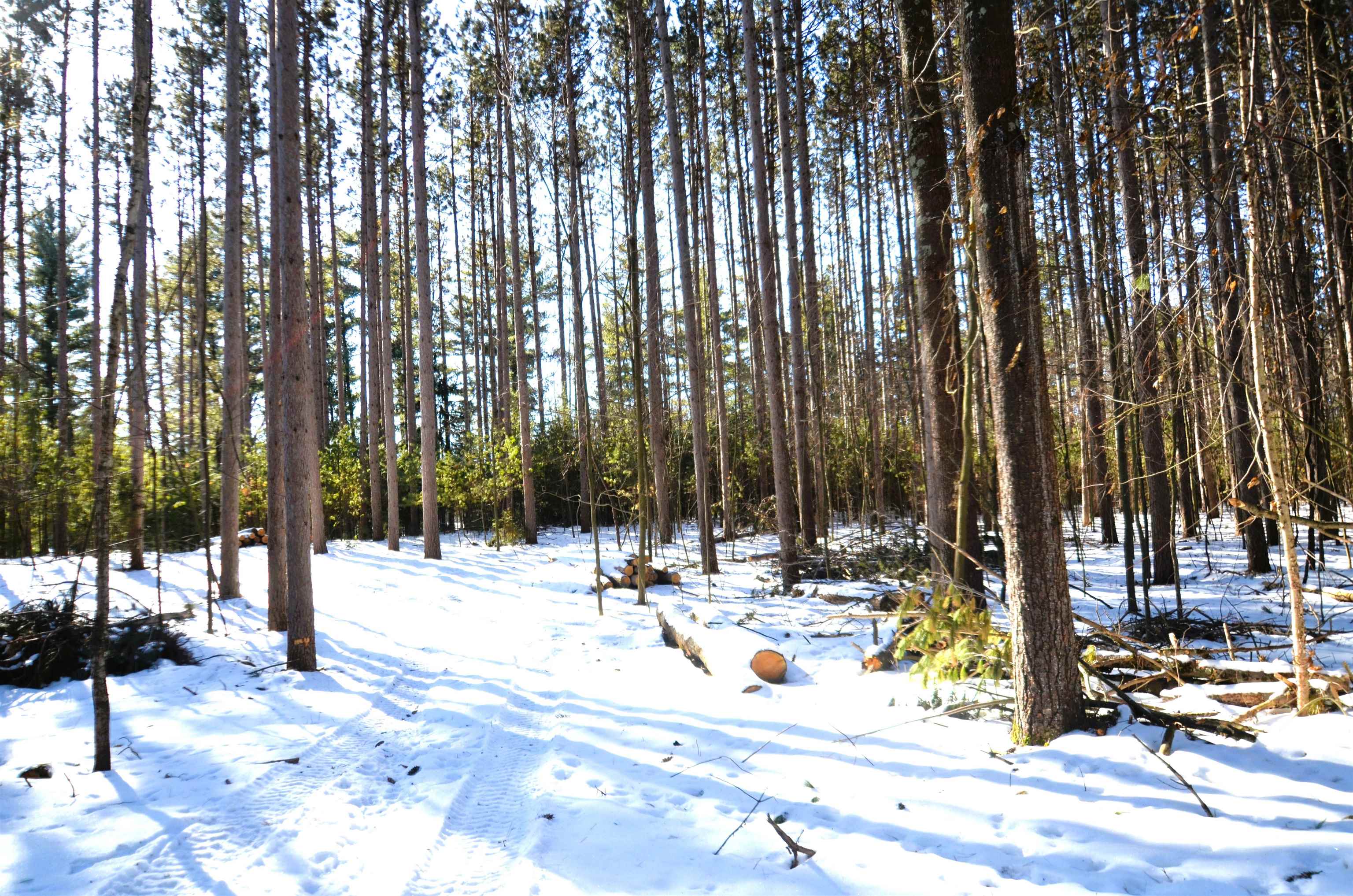 4106 Airport Road Oconto, WI 54153 - Photo 12 of 13