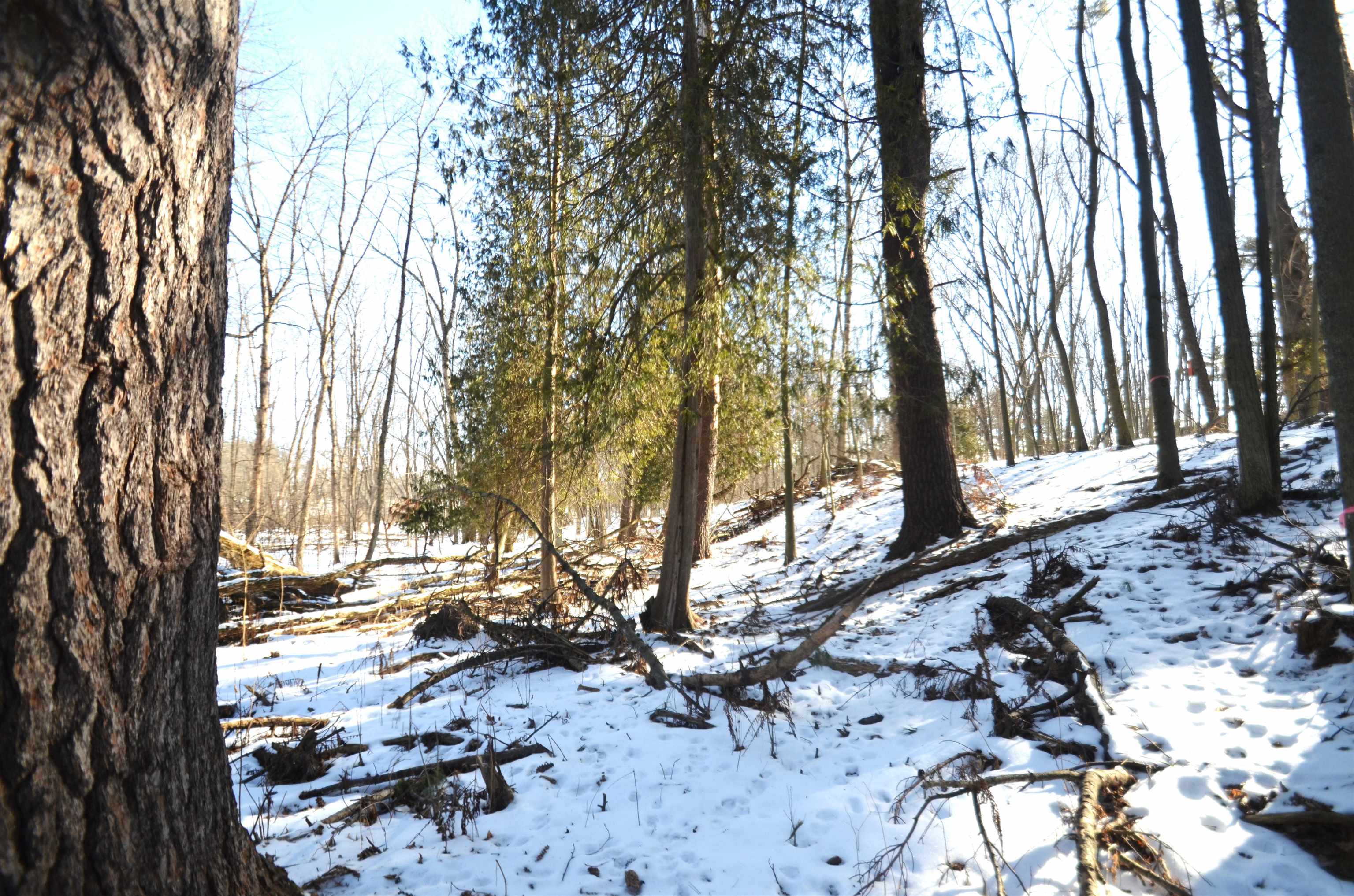 4106 Airport Road Oconto, WI 54153 - Photo 12 of 21