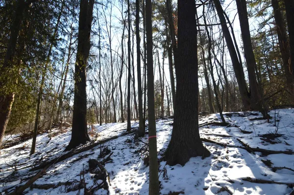 $259,900 | 4106 Airport Road, Oconto, WI 54153