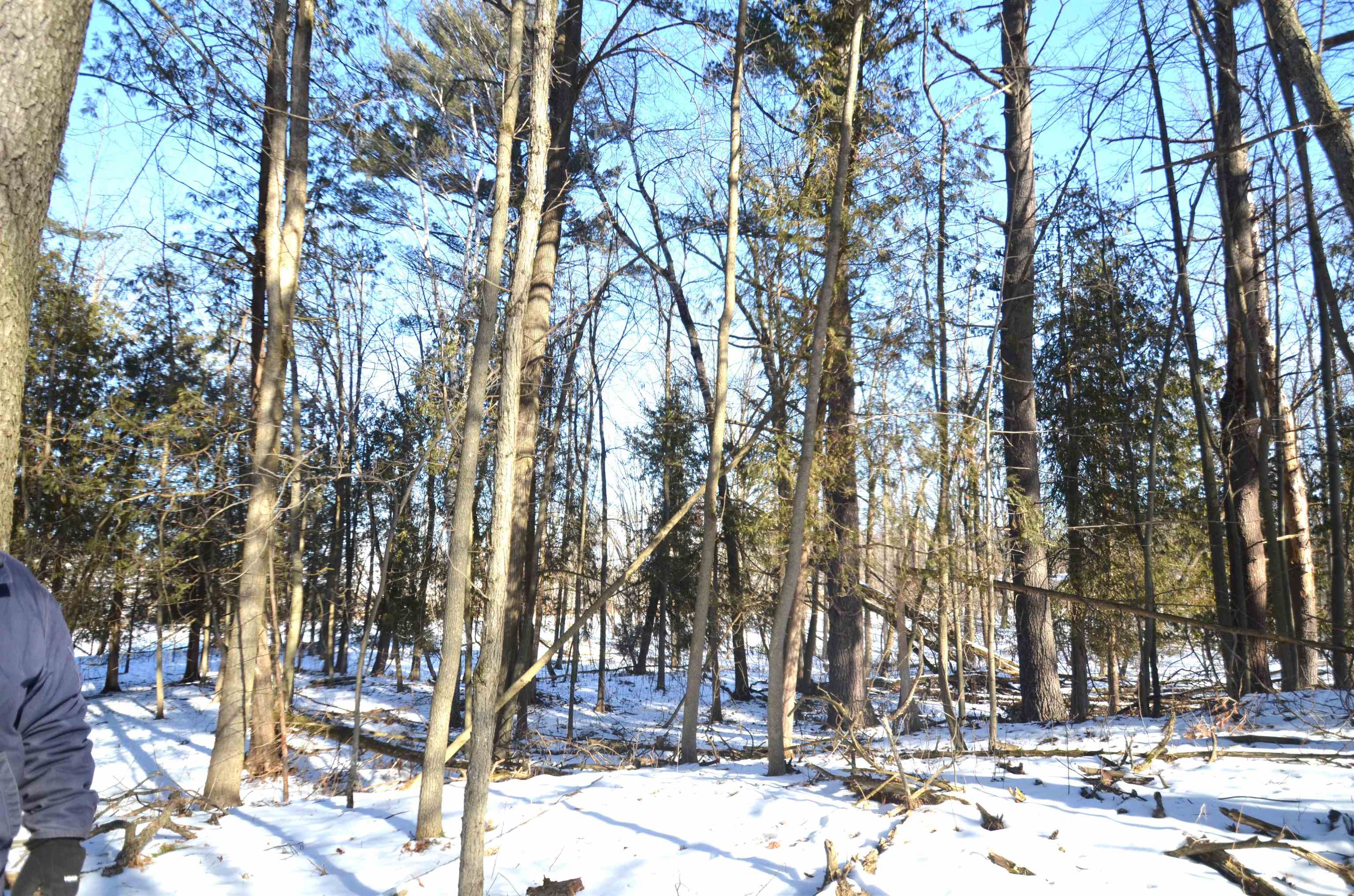 4106 Airport Road Oconto, WI 54153 - Photo 16 of 21