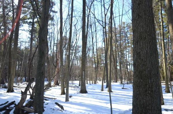 $259,900 | 4106 Airport Road, Oconto, WI 54153