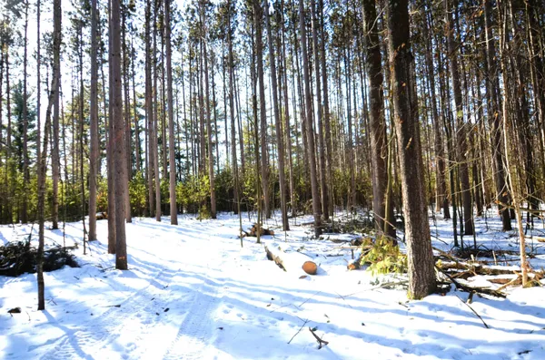 $259,900 | 4106 Airport Road, Oconto, WI 54153