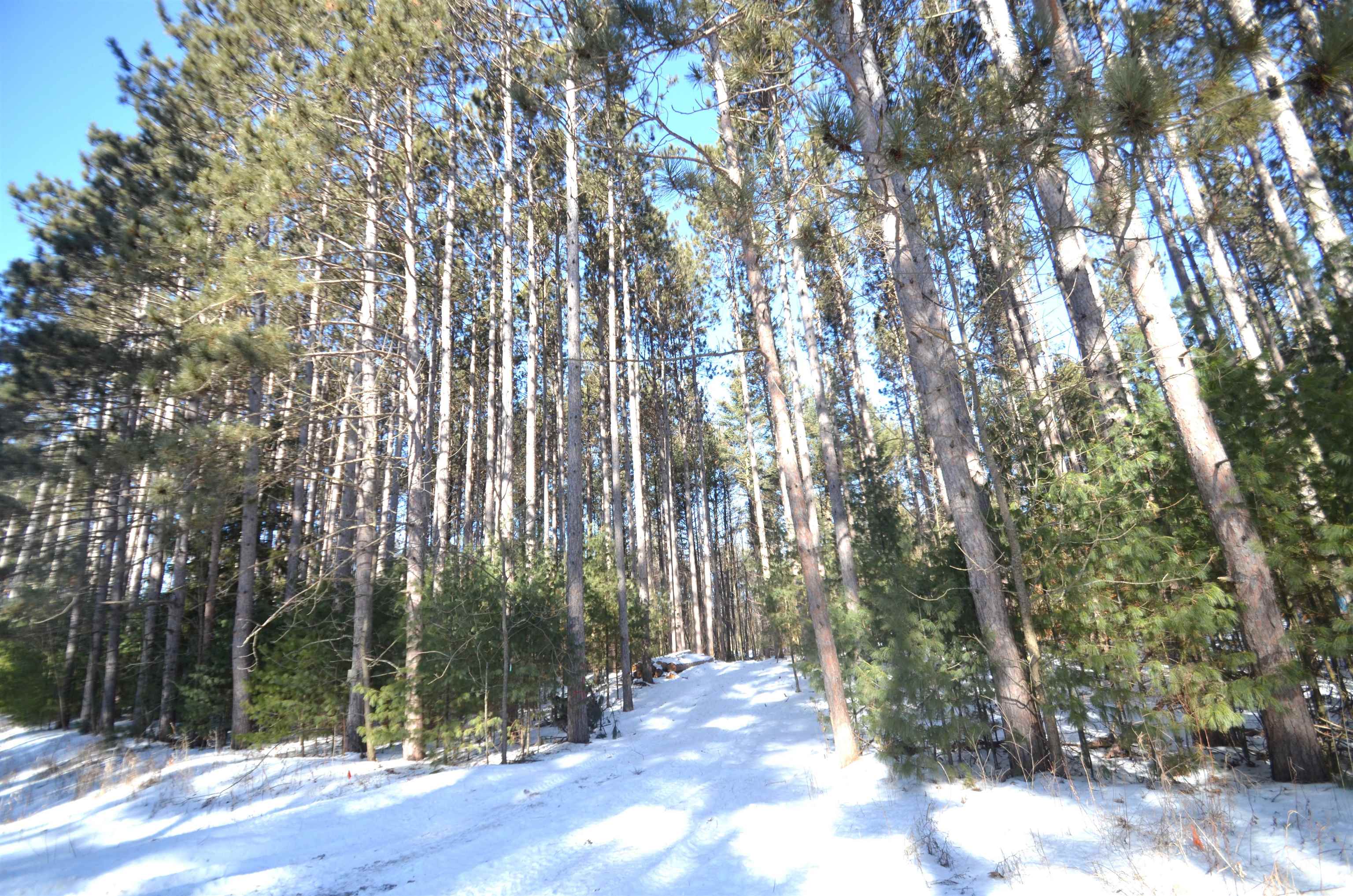 4106 Airport Road Oconto, WI 54153 - Photo 4 of 21