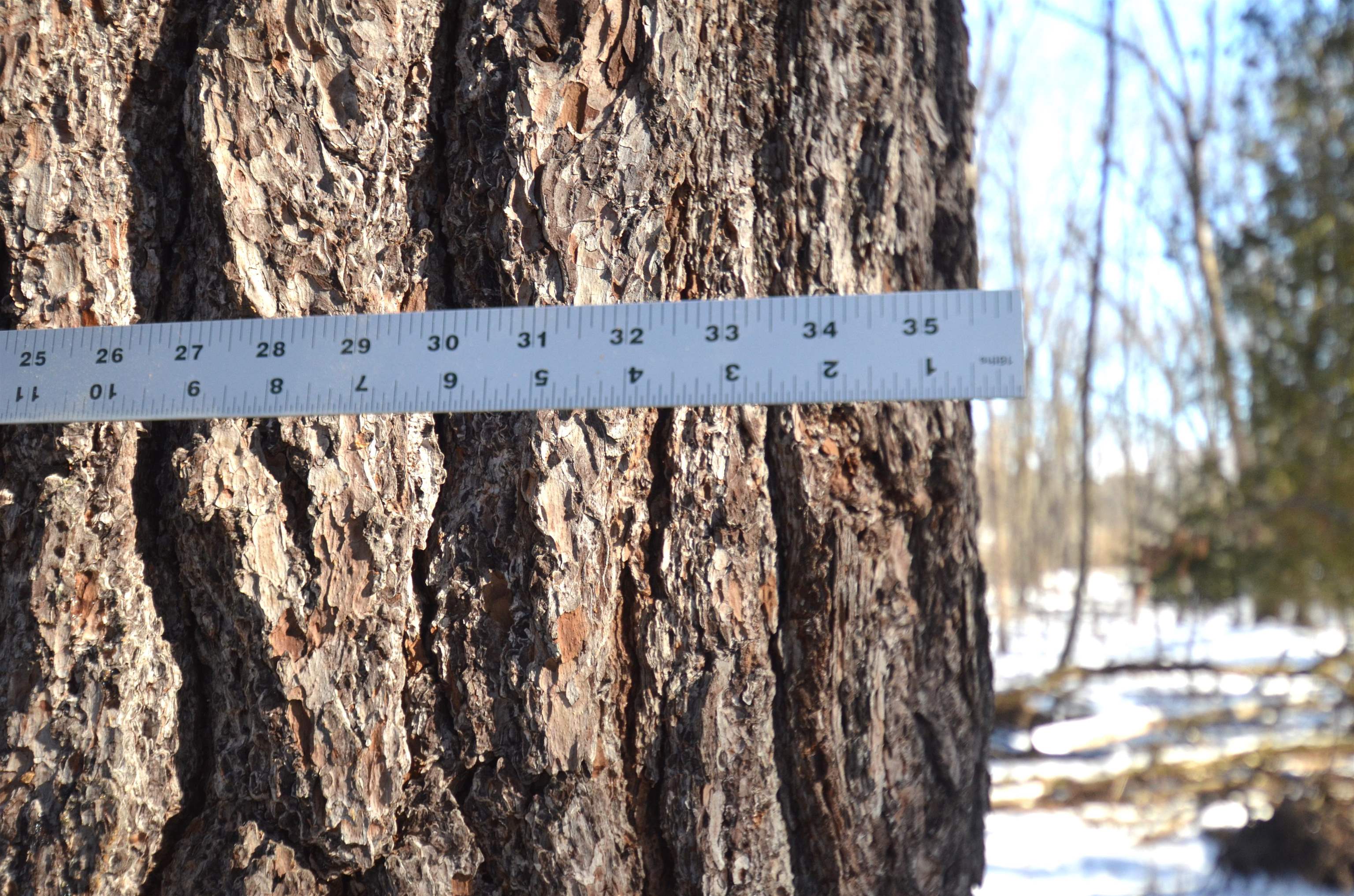 4106 Airport Road Oconto, WI 54153 - Photo 6 of 21