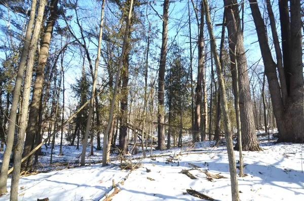 $259,900 | 4106 Airport Road, Oconto, WI 54153