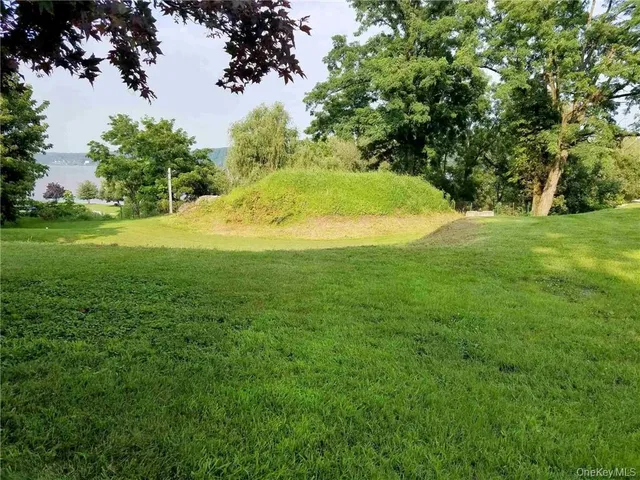 a view of a trees with a yard