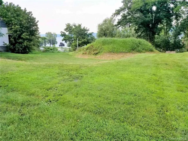 a view of a big yard with plants and large trees