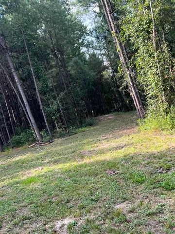 $75,000 | Tbd Oglethorpe Drive, Andrews, SC 29510