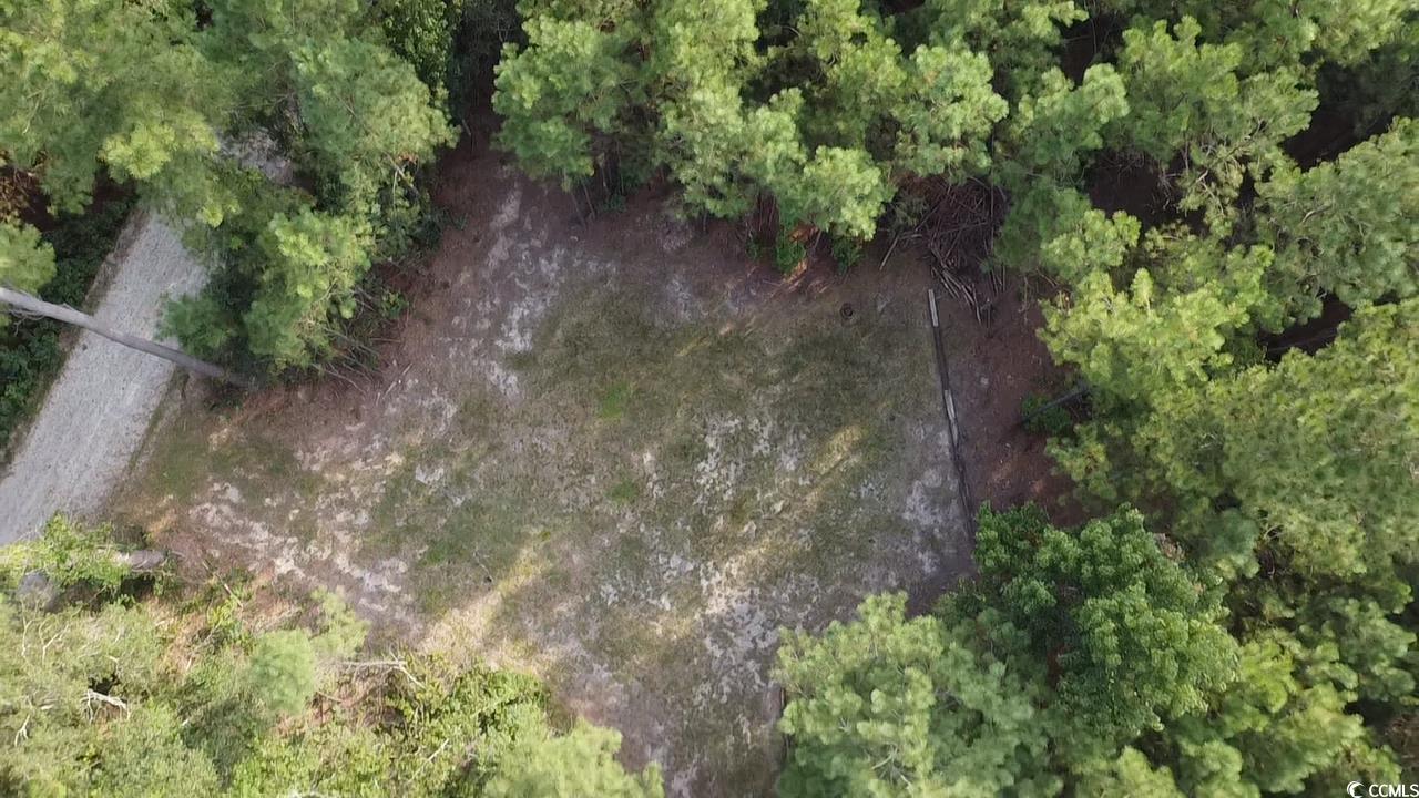 Tbd Oglethorpe Drive Andrews, SC 29510 - Photo 11 of 16