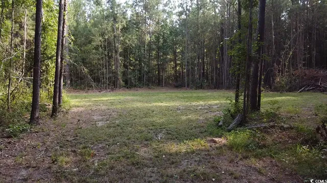 $75,000 | Tbd Oglethorpe Drive, Andrews, SC 29510