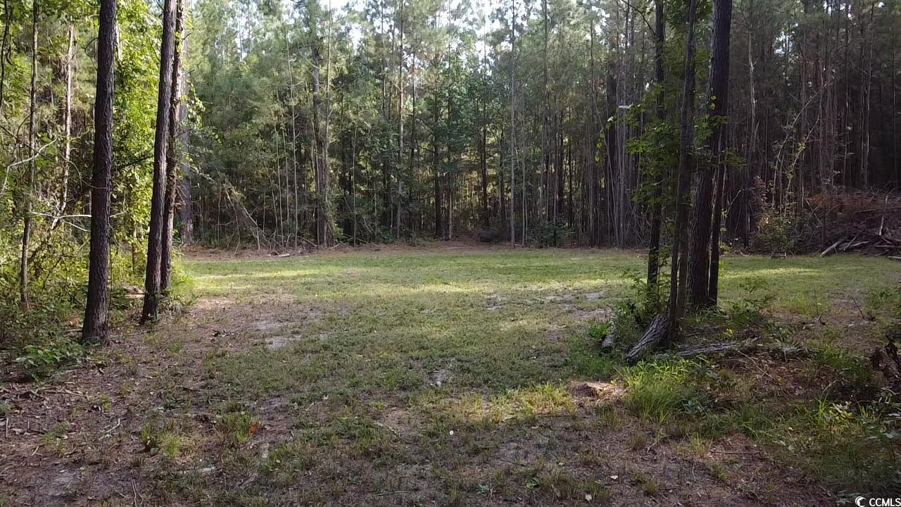 Tbd Oglethorpe Drive Andrews, SC 29510 - Photo 12 of 16