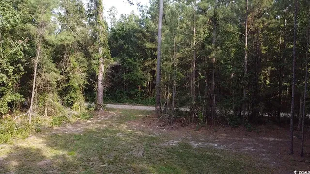 $75,000 | Tbd Oglethorpe Drive, Andrews, SC 29510