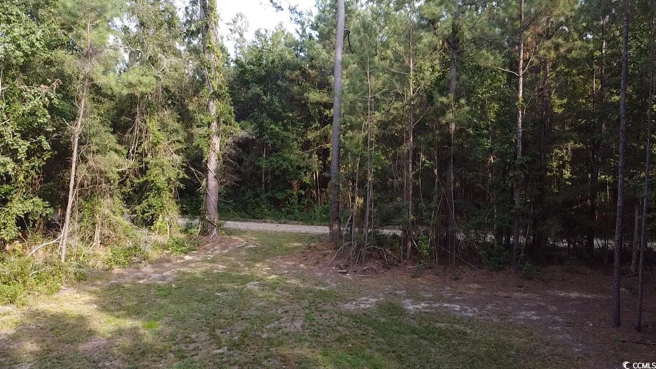 Tbd Oglethorpe Drive Andrews, SC 29510 - Photo 13 of 16