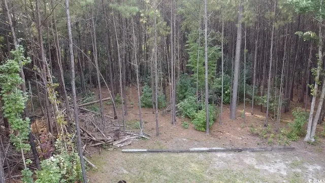 $75,000 | Tbd Oglethorpe Drive, Andrews, SC 29510