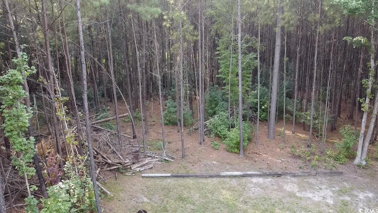 Tbd Oglethorpe Drive Andrews, SC 29510 - Photo 14 of 16