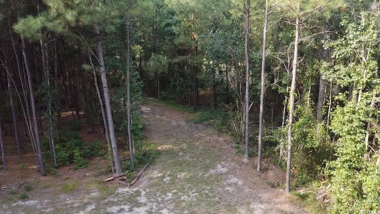 Tbd Oglethorpe Drive Andrews, SC 29510 - Photo 15 of 16