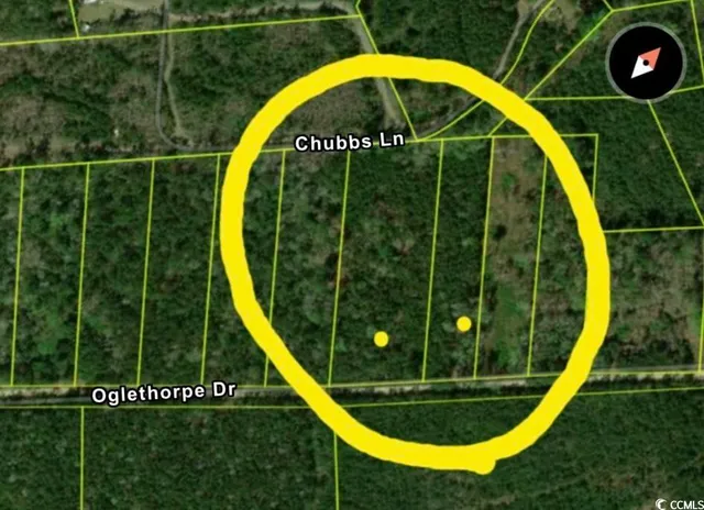 $75,000 | Tbd Oglethorpe Drive, Andrews, SC 29510