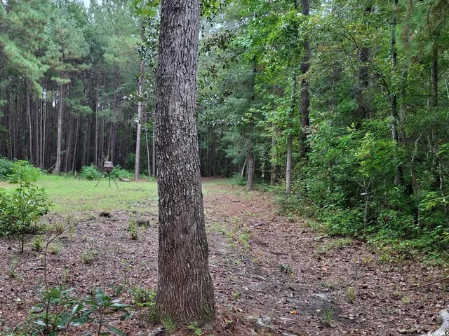 $75,000 | Tbd Oglethorpe Drive, Andrews, SC 29510