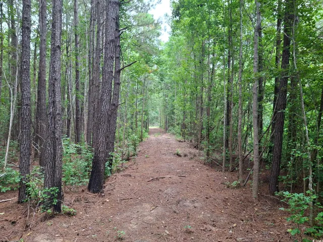 $75,000 | Tbd Oglethorpe Drive, Andrews, SC 29510